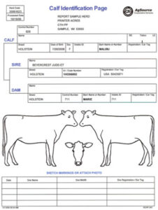 blank beef record keeping template sample