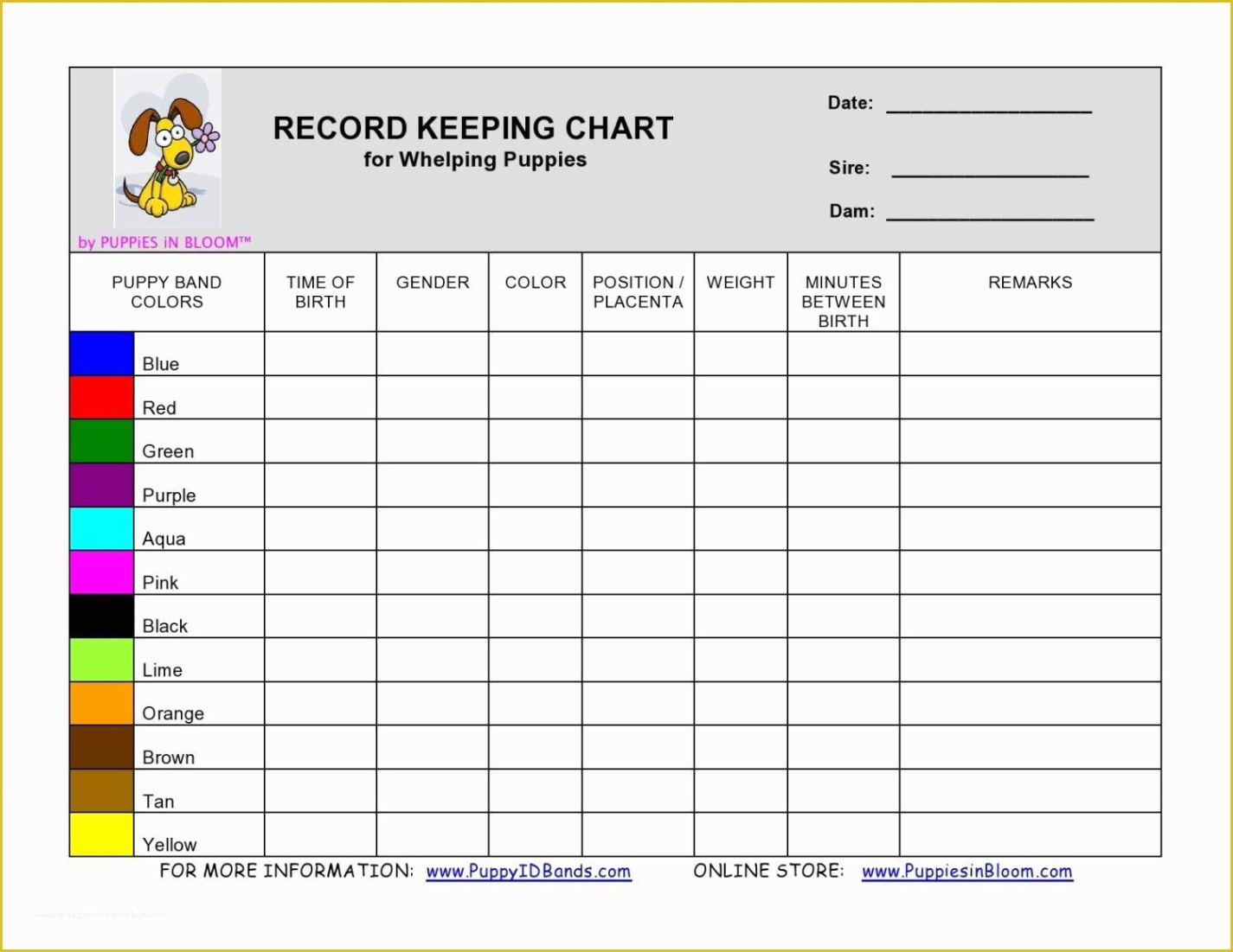 blank manual record keeping template sample