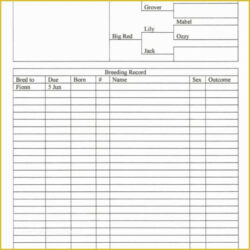 blank stock record keeping template word