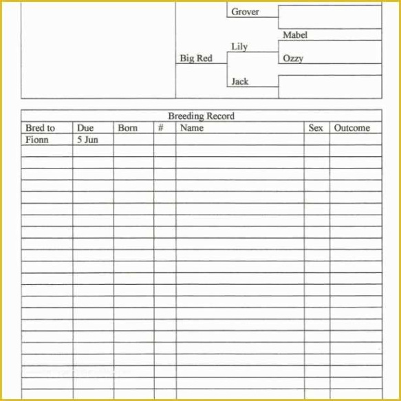 blank stock record keeping template word