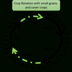 editable corn and soybean field record keeping template pdf