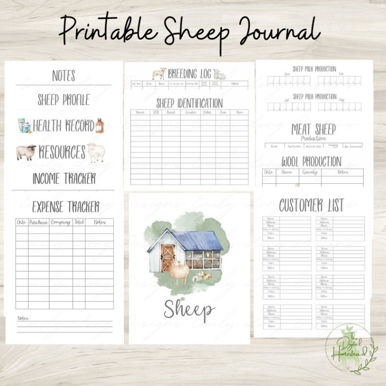 free blank sheep record keeping template excel