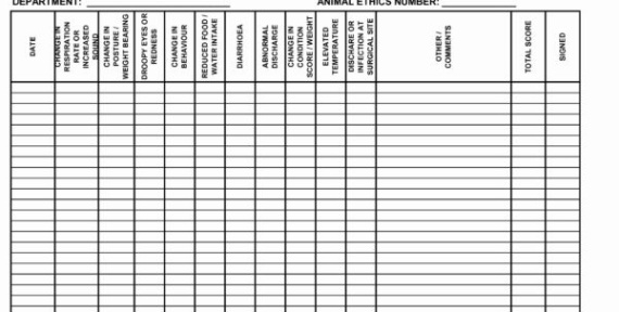 free editable beef record keeping template sample