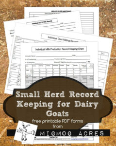 free  goat record keeping template word