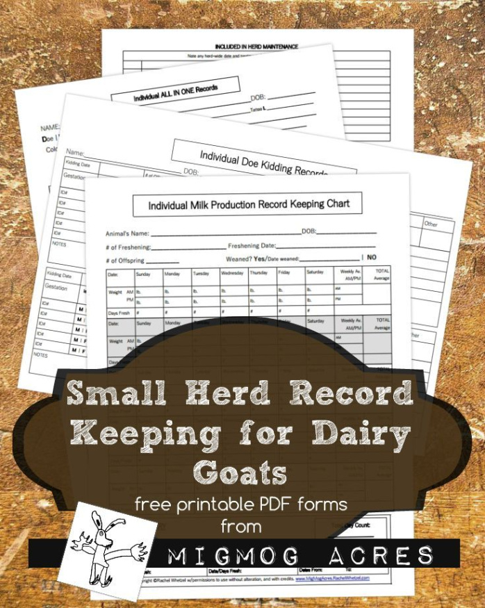 free  goat record keeping template word