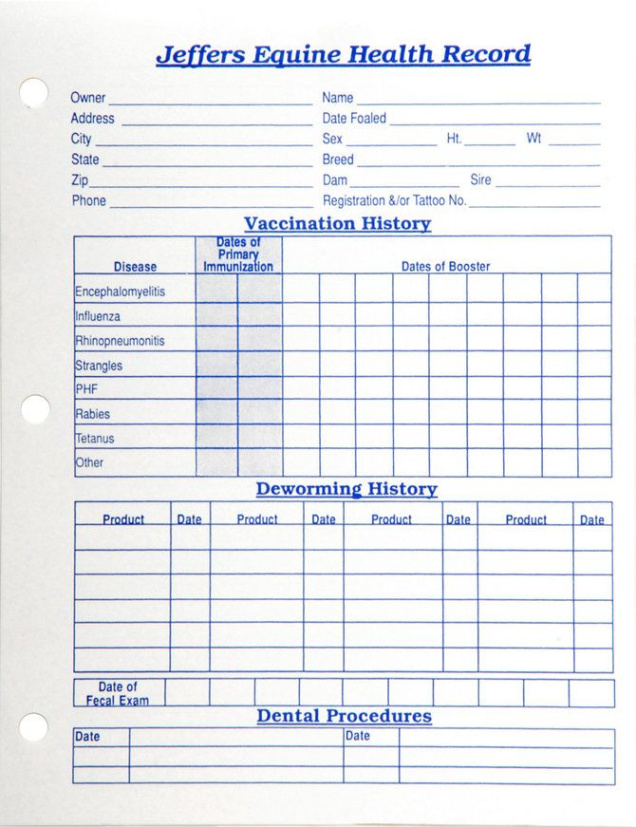 free  horse record keeping template doc