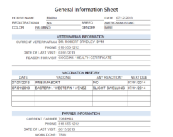 free  horse record keeping template example