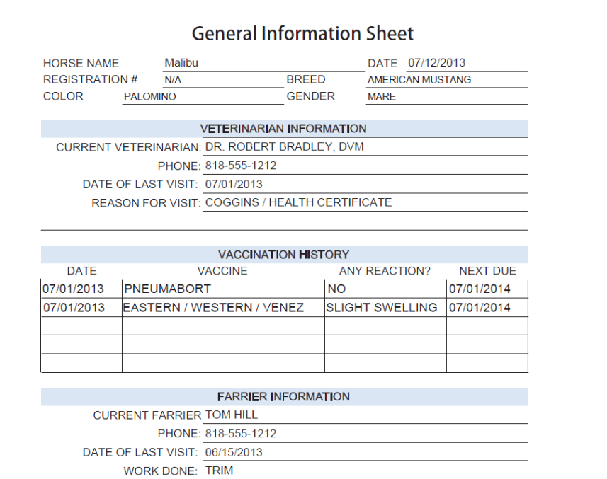 free  horse record keeping template example