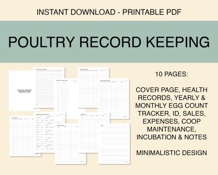 free printable chicken poultry record keeping templates excel