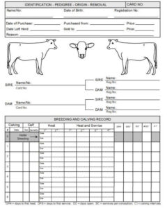 free printable intense organic farm record keeping template sample