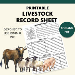 free printable livestock record keeping template word