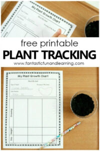 free printable plant breeder record keeping template sample