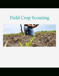 free sample corn and soybean field record keeping template sample