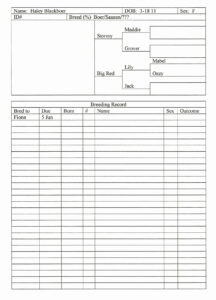 livestock record keeping template doc