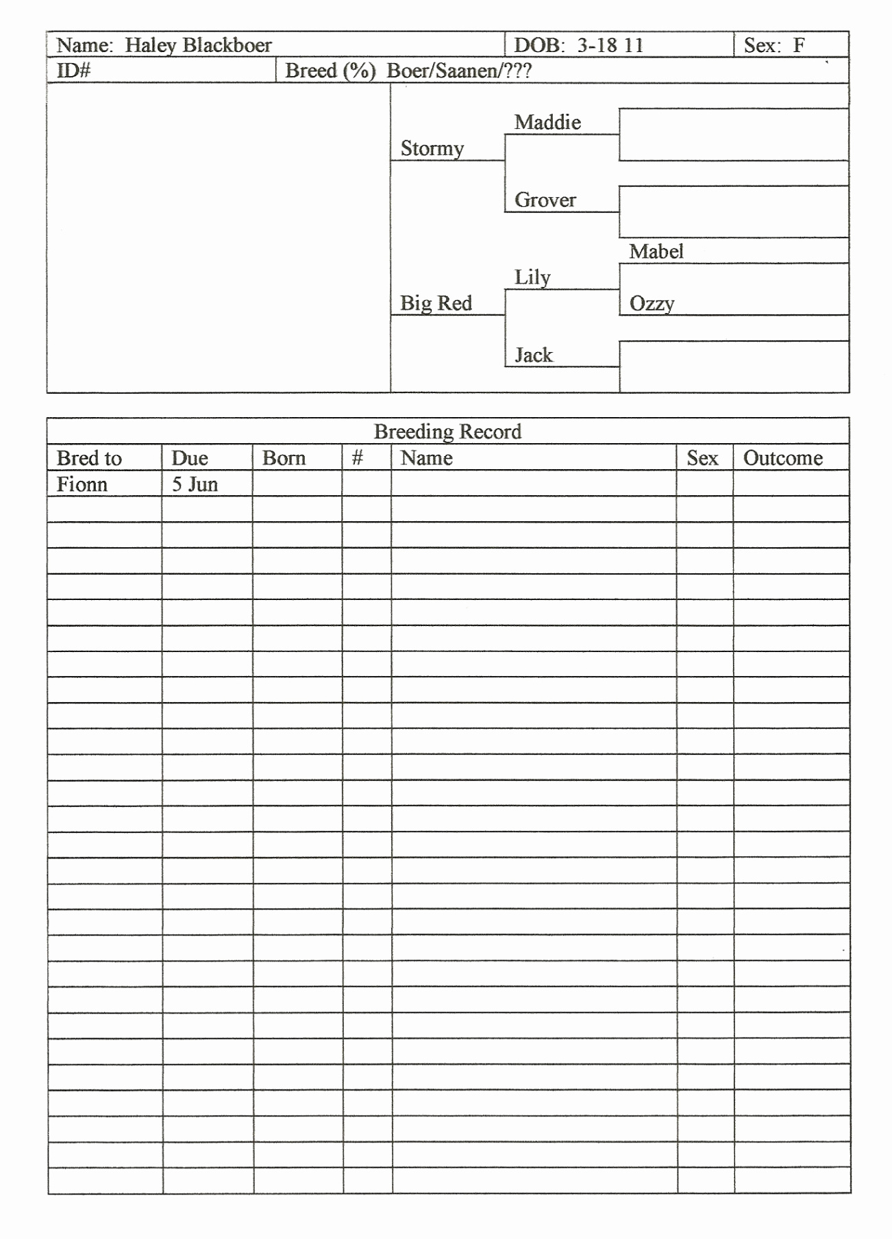 livestock record keeping template doc