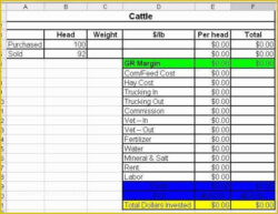 sample cattle record keeping template pdf