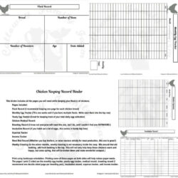 sample chicken poultry record keeping templates sample