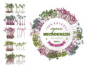 sample microgreens record keeping template