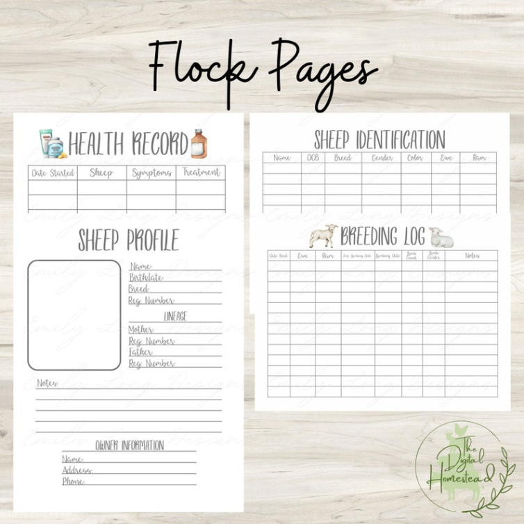 sheep record keeping template example