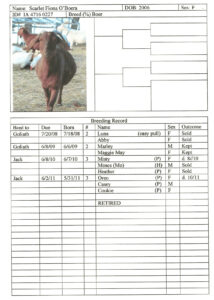 stock record keeping template excel