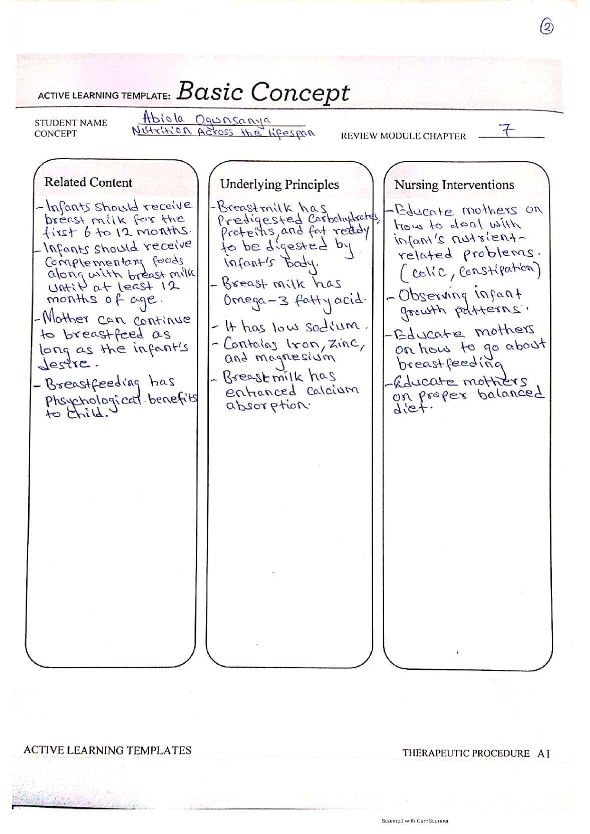 free  food development process record template example