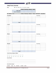 printable 3 day food record template sample