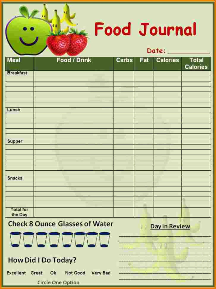 sample 3 day food record template sample