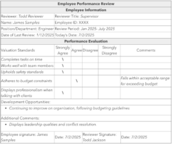 editable employee performance record template example