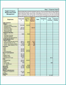 free blank poultry farm record keeping templates example