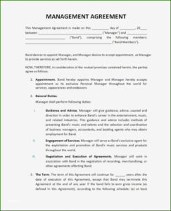 free  indie record label contract template excel