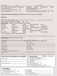 free printable eu personal health record template doc