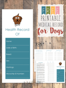 free sample dog shot records template pdf