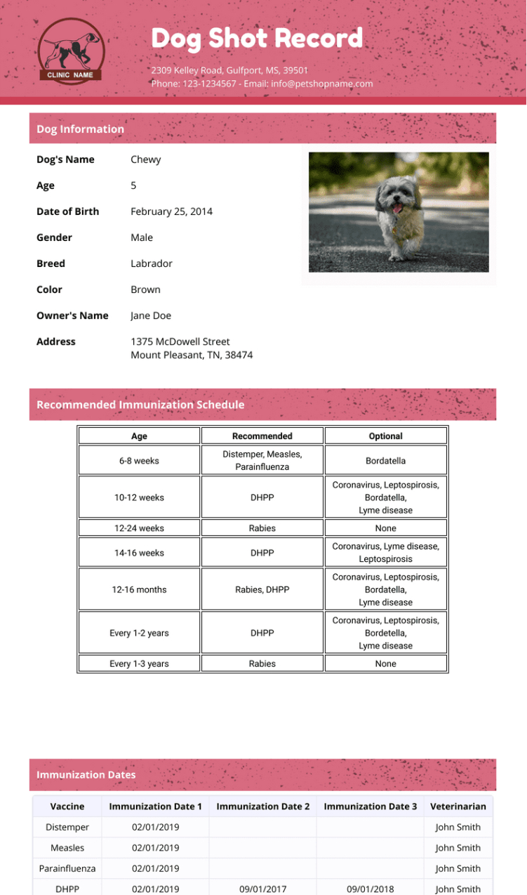 free sample dog shot records template sample