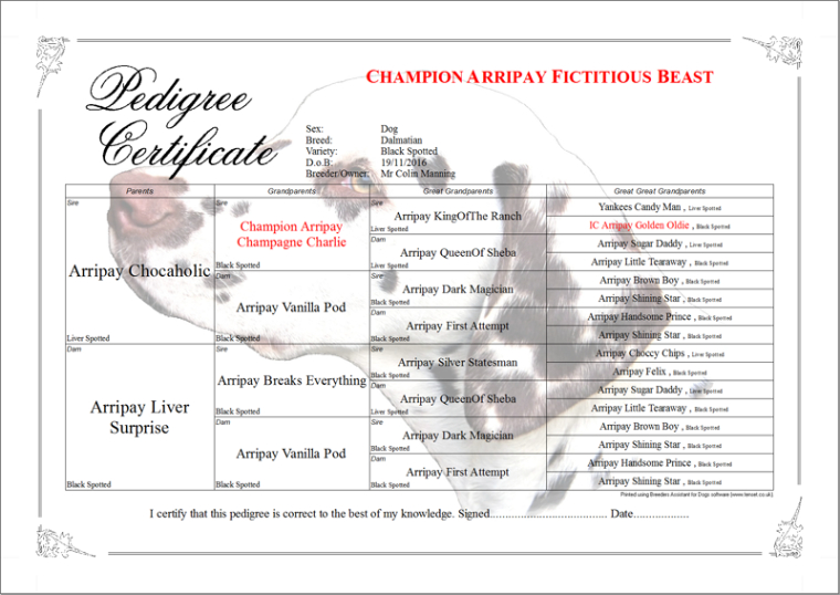 printable bird breeding record card templates word