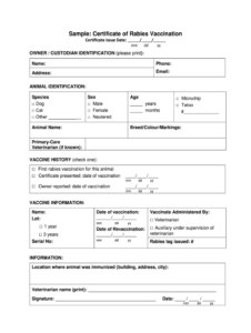 blank cat vaccination record templat sample