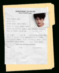 blank criminal record declaration form template word