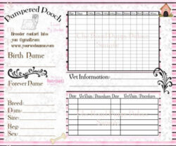 dog medical records template doc