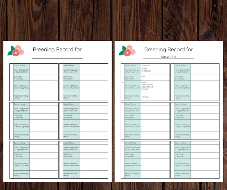 editable dog breeding record keeping template sample