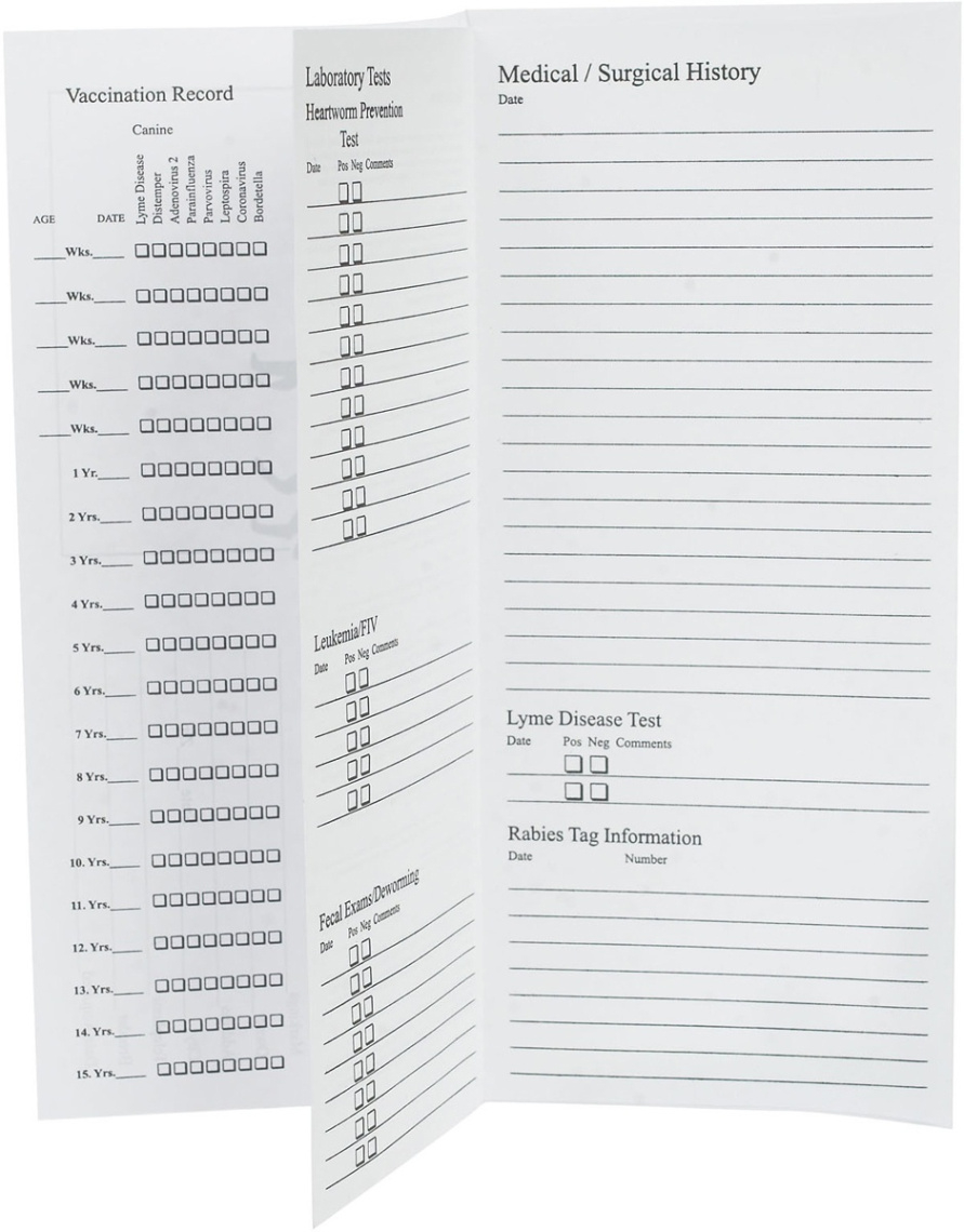 free editable cat health record template doc