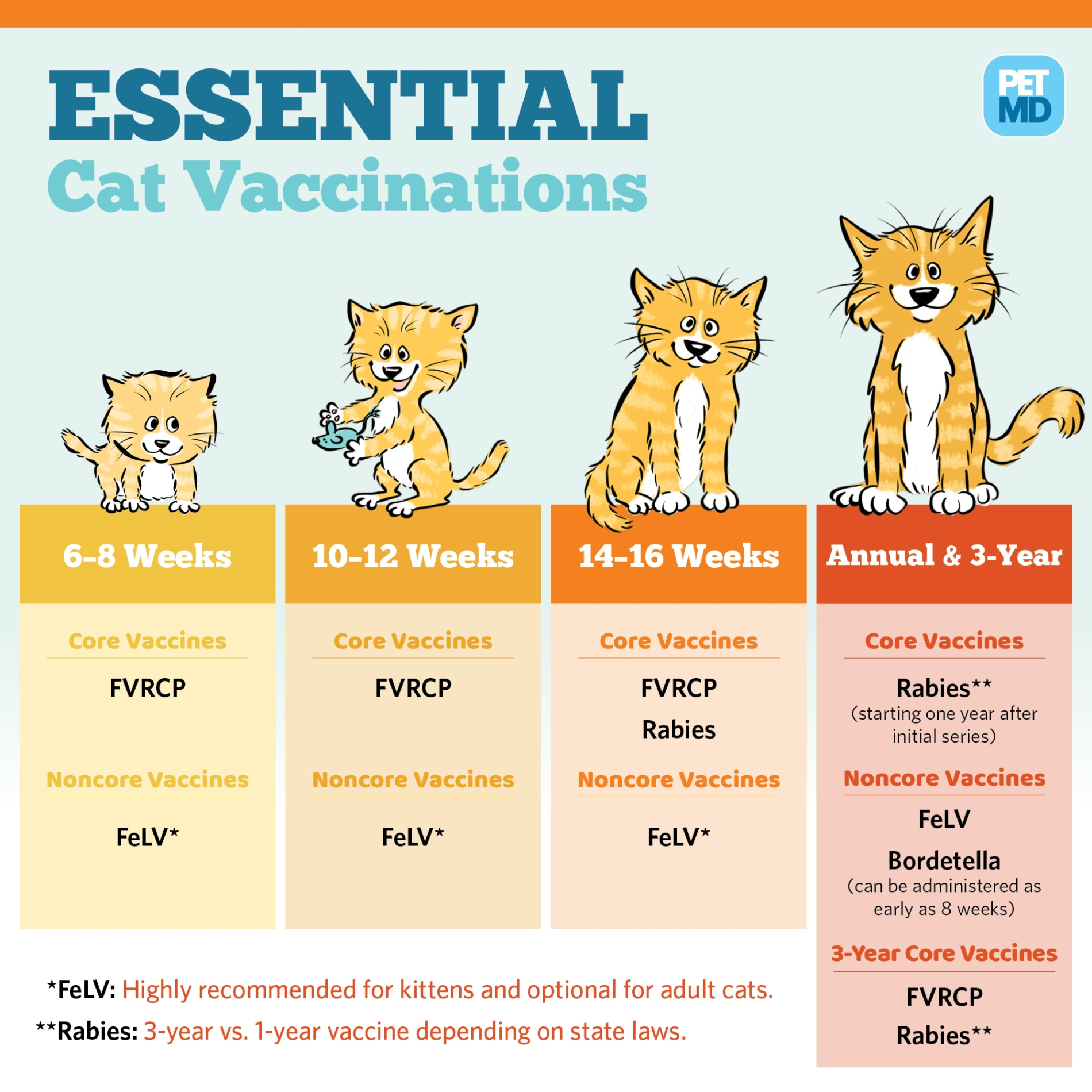 free sample cat vaccination record templat sample