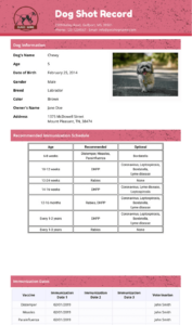 free sample dog immunization record template doc