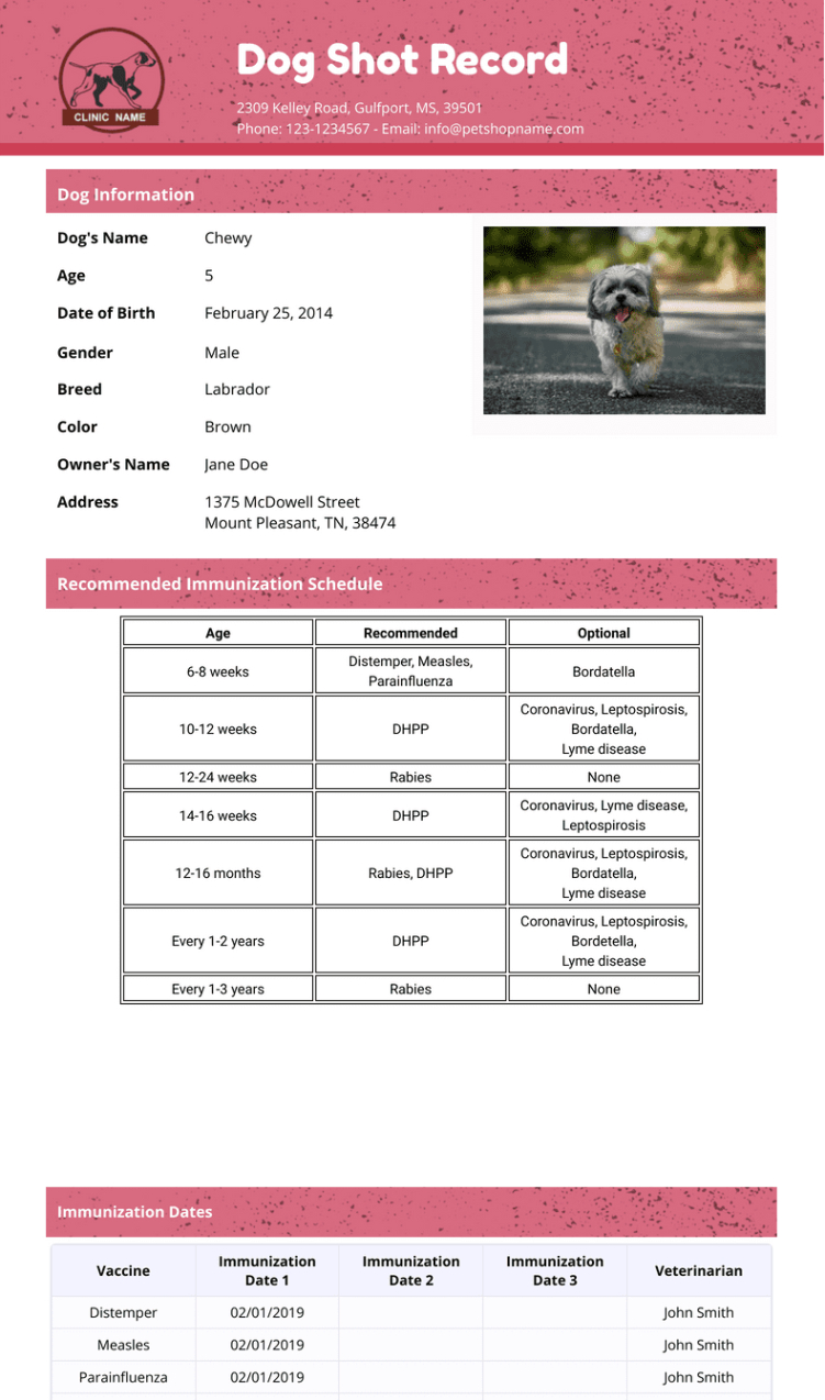 free sample dog immunization record template doc