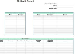 sample care home daily records template doc