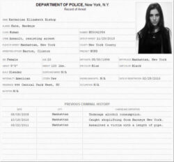 sample criminal record declaration form template doc