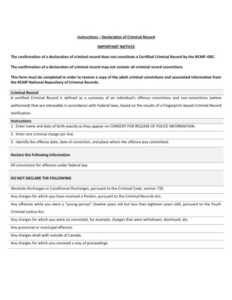 sample criminal record declaration form template excel