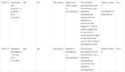 editable continuing professional development record template