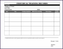 editable training and development record template pdf