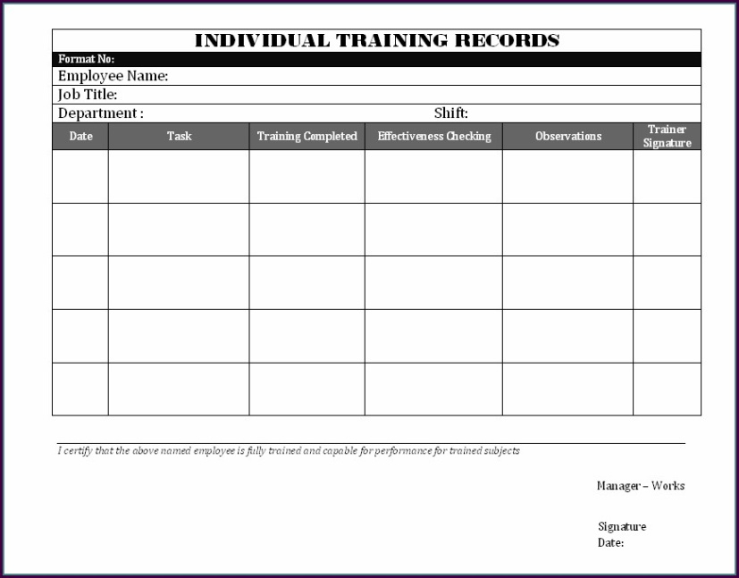 editable training and development record template pdf