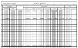 free editable individual payroll record template excel