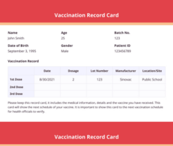 free printable pet vaccination record template excel